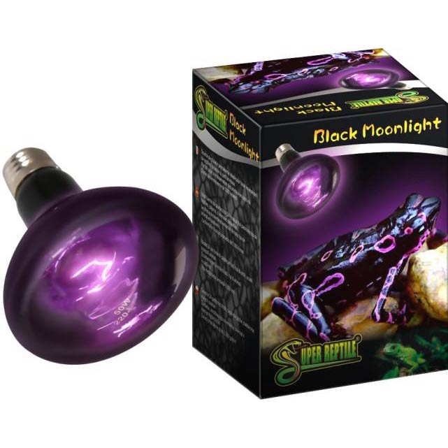 Black Moonlight